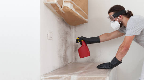 Professional Commercial Mold Remediation technician working in Wellesley Hills, MA